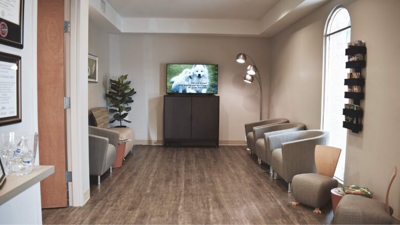 T V in reception area of Altenbach Dentistry